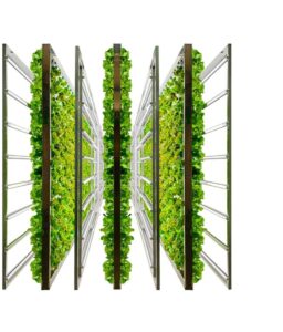 Ponix Farms | Hydroponic Systems and Indoor Farming Company