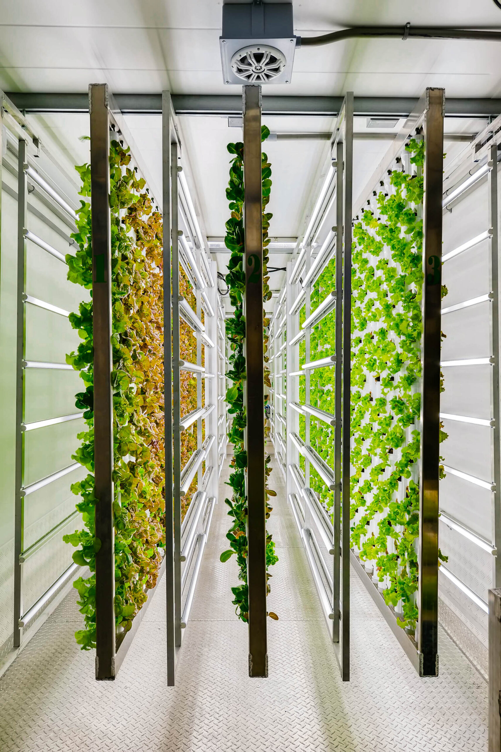 Vertical Farming